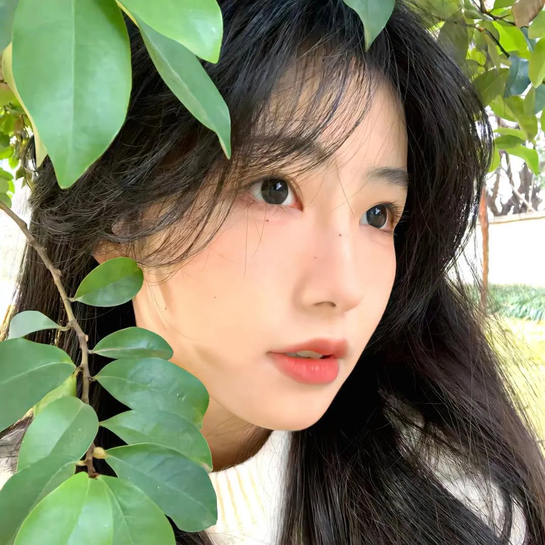 胡杨的夏天